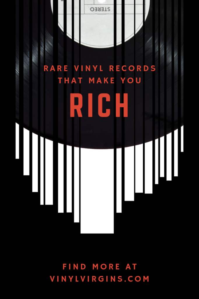 vinyl record beginner guides